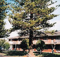 Eastern Beach Holiday Units - Accommodation 4U