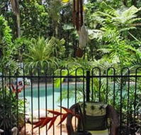 Daintree Rainforest Retreat Motel - Accommodation 4U
