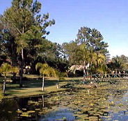 Twin Lakes Hotel - Accommodation 4U