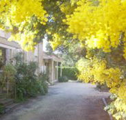 Surfcoast Retreat - Accommodation 4U