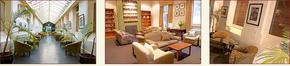AnsoniA On Lydiard - Accommodation 4U 1