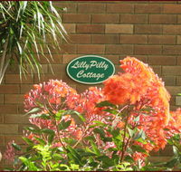 Lillypilly - Accommodation 4U