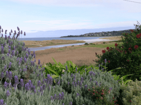 A Great Ocean View Motel - Accommodation 4U 2