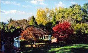 Bed And Breakfast St Ives NSW Accommodation 4U