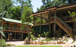 Licuala Lodge - Accommodation 4U 2