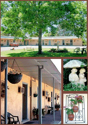 Arch Motel - Accommodation 4U 2