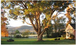 Belltrees Country House - Accommodation 4U 2