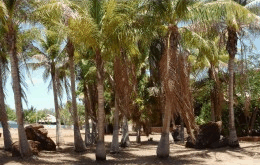 King Sound Resort Hotel - Accommodation 4U