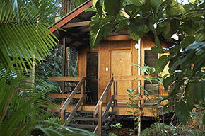 Cape Tribulation QLD Accommodation 4U