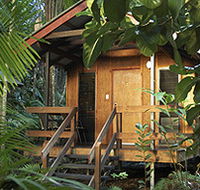 Cape Trib Beach House - Accommodation 4U