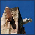 Manor Apartment Hotel - Accommodation 4U 3