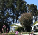 King Island Accommodation Cottages - thumb 1