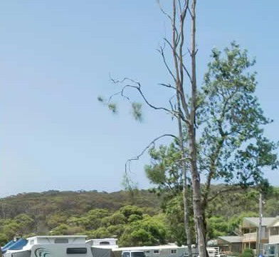 Merry Beach Caravan Park - Accommodation 4U 2