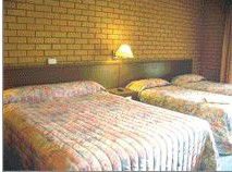 Bega Village Motor Inn - Accommodation 4U 3