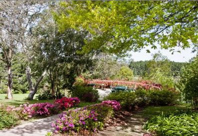 Bilpin Resort - Accommodation 4U 2