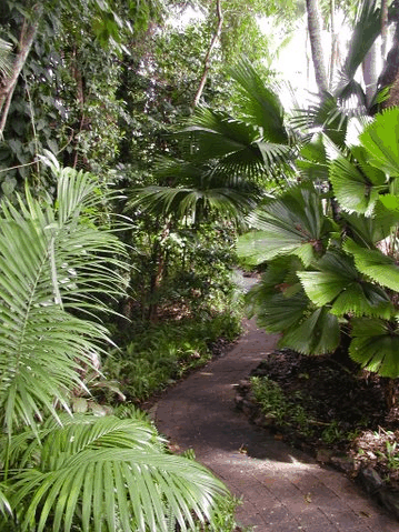Rainforest Grove Holiday Resort - Accommodation 4U 1