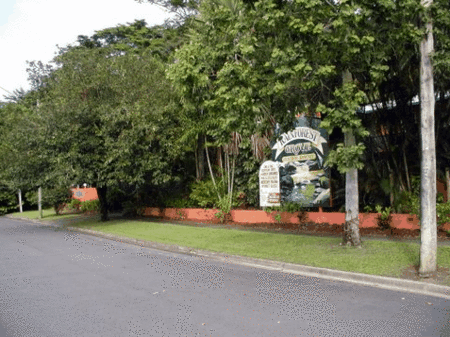 Rainforest Grove Holiday Resort - Accommodation 4U 2