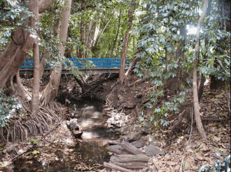 Rainforest Grove Holiday Resort - Accommodation 4U 3