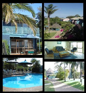 Pandanus Palms Resort - Accommodation 4U 1