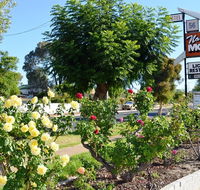 Narrogin Motel - Accommodation 4U