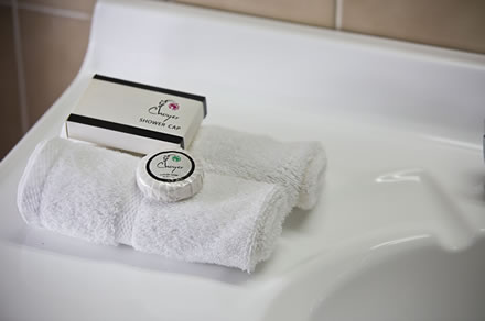 Cumberland Motor Inn - Accommodation 4U 7