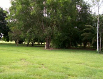Daly River Mango Farm - Accommodation 4U 1