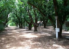 Daly River Mango Farm - Accommodation 4U 4