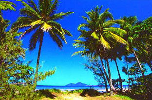 Mission Beach Rainforest Motel - Accommodation 4U 1