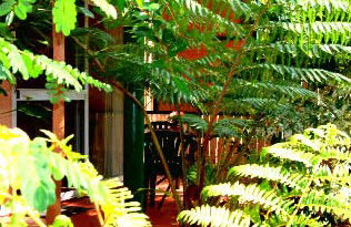 Mission Beach Rainforest Motel - Accommodation 4U 3