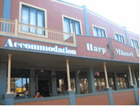 Harp Deluxe Hotel - Accommodation 4U 0