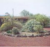 Beaufort Motel - Accommodation 4U