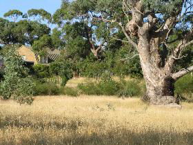 Springton SA Accommodation 4U