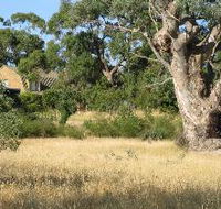 Wings Barossa Bird and Bush Retreat - Accommodation 4U