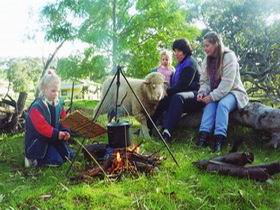Sleepy Hollow Farm Cottage - Accommodation 4U 0
