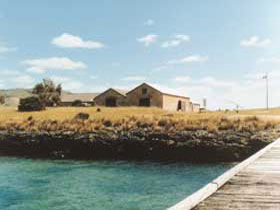 Mt Dutton Bay Woolshed Hostel - Accommodation 4U 0