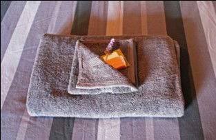 Moolooloo Station - Accommodation 4U 2