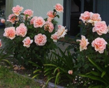 Lot 7 Cottage - Accommodation 4U 5