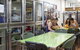 Our House Backpackers - thumb 3