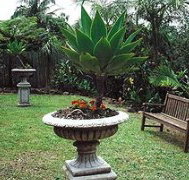 Bangalow Retreat - Accommodation 4U