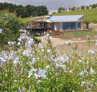 The Blue Grape Vineyard Accommodation - Accommodation 4U