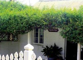 Peppertree Cottage Bed And Breakfast - Normanville - Accommodation 4U 1