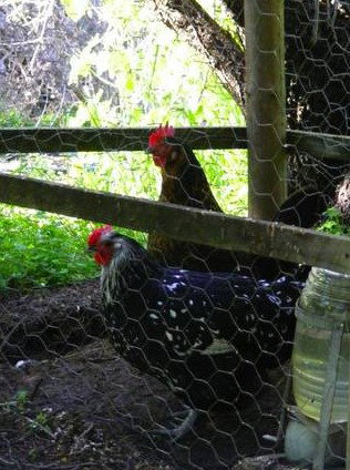 Norma's Place - Accommodation 4U 0