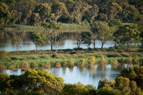 Riverview Rise Retreats - Accommodation 4U 4