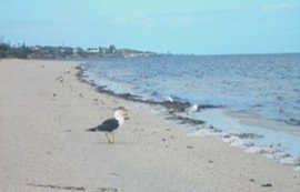 Tucked Away At Brownlow - Accommodation 4U 2