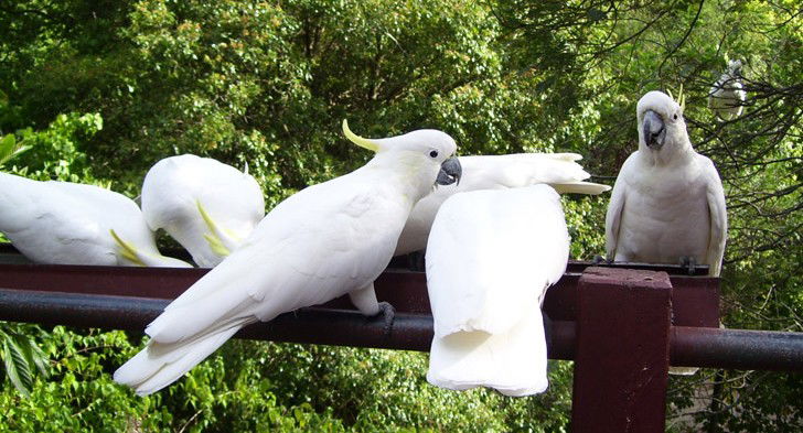 Summertown SA Accommodation 4U