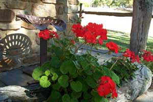 Adelaide Hills Country Cottages - Gum Tree Cottage - Accommodation 4U 3