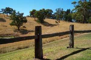 Adelaide Hills Country Cottages - Gum Tree Cottage - Accommodation 4U 4