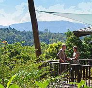 Rose Gums Wilderness Retreat - Accommodation 4U