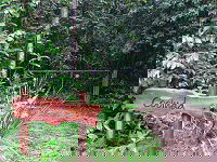 Rivers Edge Rainforest Retreat - Accommodation 4U 4