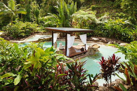 Misty Mountains Tropical Rainforest Romantic Retreat - Accommodation 4U 3
